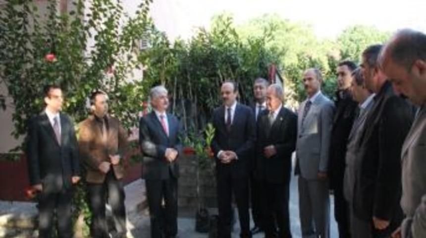 D&ouml;rtyol'da &Uuml;reticiye Mandalina Fidanı Dağıtıldı