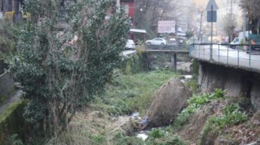 Derelerin Bakımsızlığı, Tehlike Sa&ccedil;ıyor