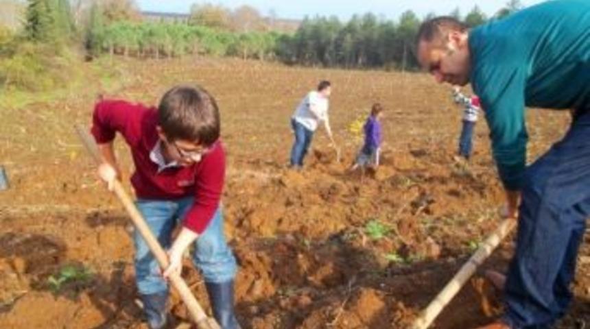 S&uuml;taş İş&ccedil;ileri Fidan Dikti
