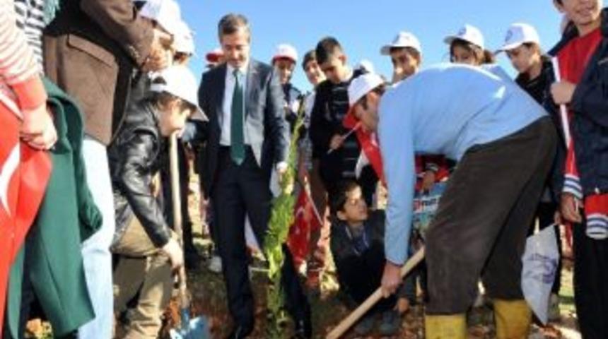 Şahinbey Belediyesi Hasan Kalyoncu &Uuml;niversitesinde Ağa&ccedil; Dikti