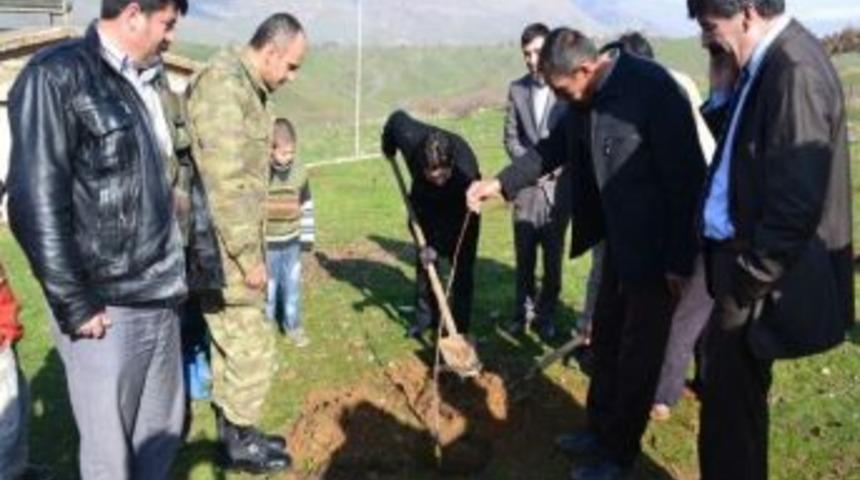 Sason'da Fidanlar Toprağa Verildi