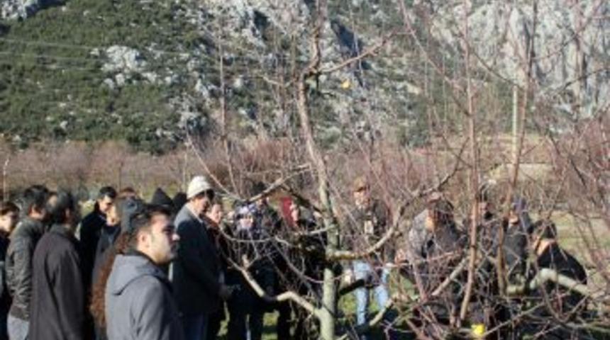 Meyvecilik Araştırma İstasyonu'ndan Budama Eğitimi