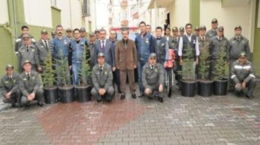 Ormancılardan 'noel Ağacı' Nöbeti