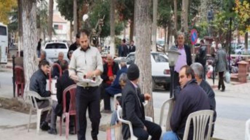 Kış Mevsiminde Bahar Sefası