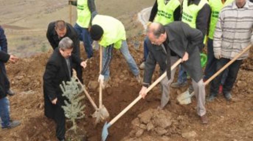 6 Bin &Ouml;ğretmene 6 Bin Fidan