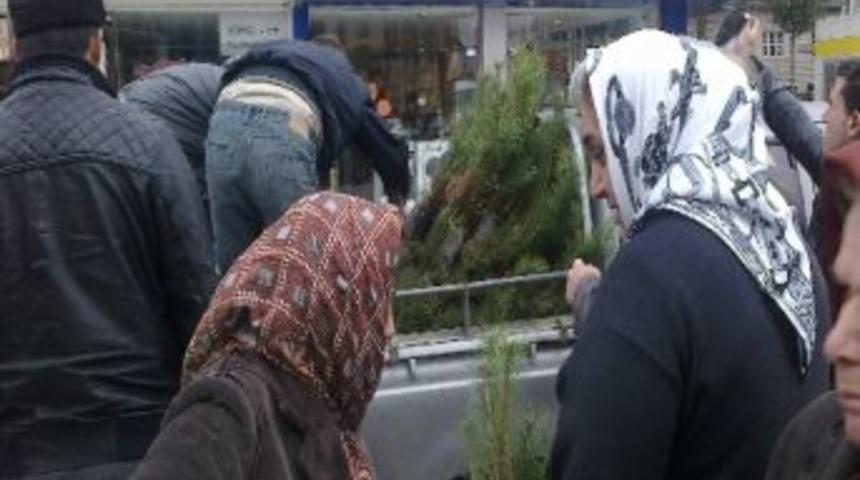 Yılbaşı &Ouml;ncesi Orman İşletme M&uuml;d&uuml;rl&uuml;ğ&uuml;nden &Ccedil;am Fidanı Dağıtımı