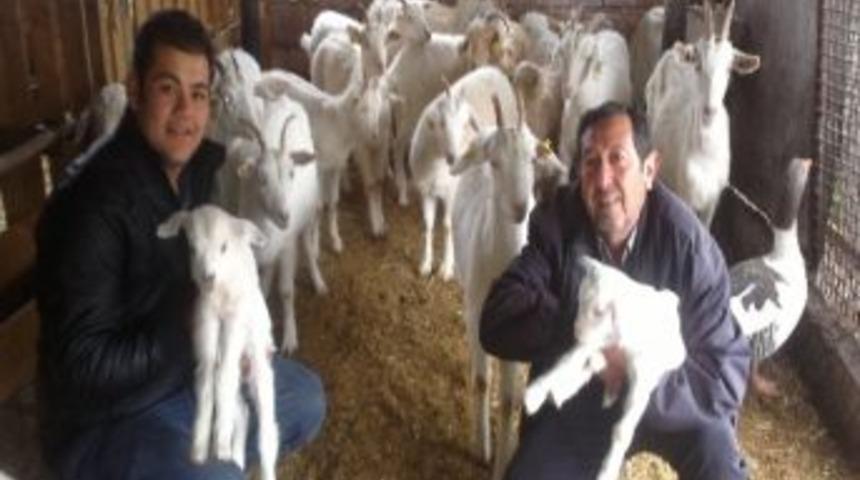 Karakuyu&rsquo;yu Zana Ke&ccedil;ileri Kurtaracak