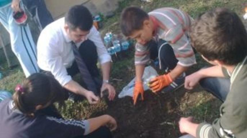 Okul Bah&ccedil;esindeki Tohumlar Yeşermeye Başladı