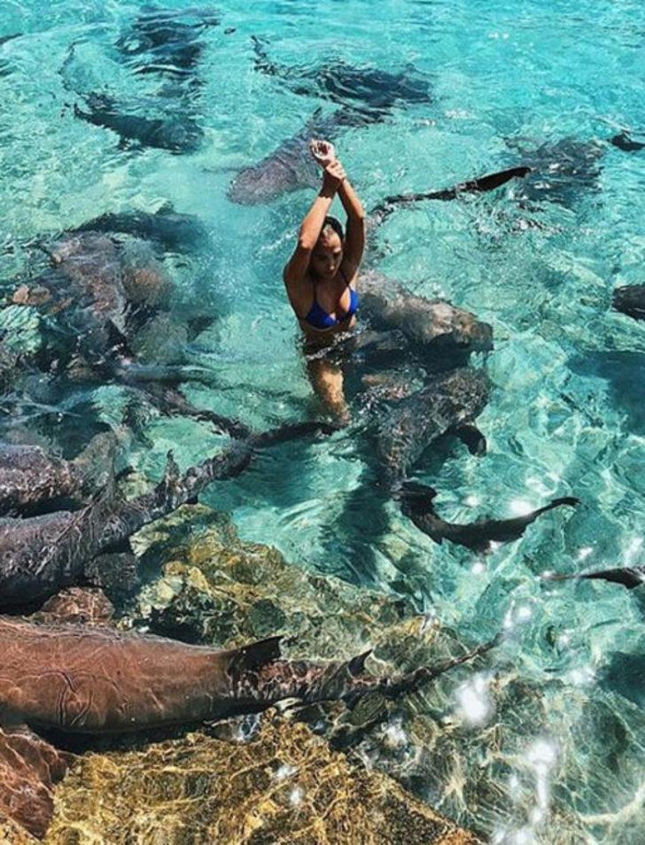 Denizde korkunç anlar! Köpek balığı saldırdı kanlar içinde yere yığıldı G2