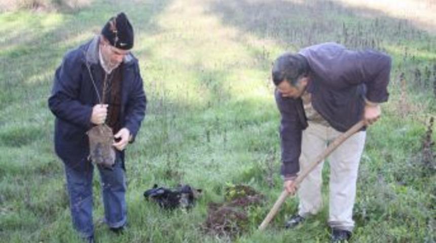 Ağa&ccedil; Kesen K&ouml;yl&uuml;ler Cezalarını Ormana Fidan Dikerek &Ouml;dedi