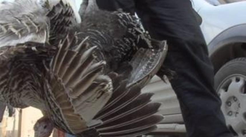 Deprem B&ouml;lgesi Van&rsquo;da Yeni Yıl Hazırlıkları