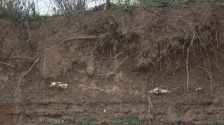 Manavgat'ta insan kemikleri a&ccedil;ığa &ccedil;ıktı