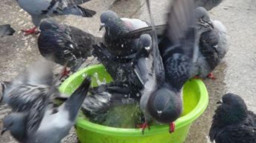 G&uuml;vercinlerden Soğuk Duş