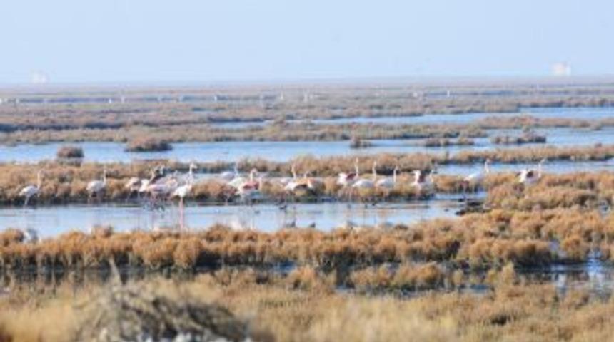 Arıtma Sahasının &Ccedil;evresi Kuş Cenneti'ne D&ouml;nd&uuml;