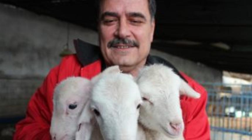 Beyşehir&rsquo;de Kuzu Cenneti
