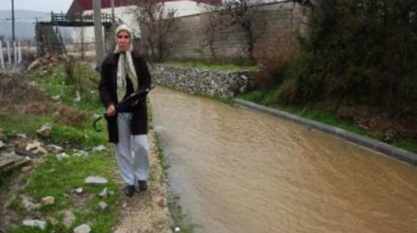 &Ouml;ğrenciler Selde Mansur Kaldı