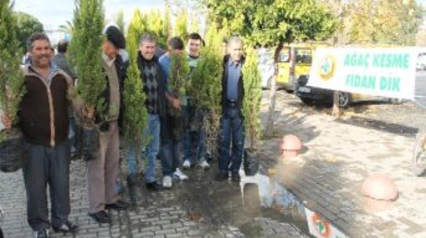 Sel&ccedil;uk&rsquo;ta 2 Bin Fidan Dağıtıldı