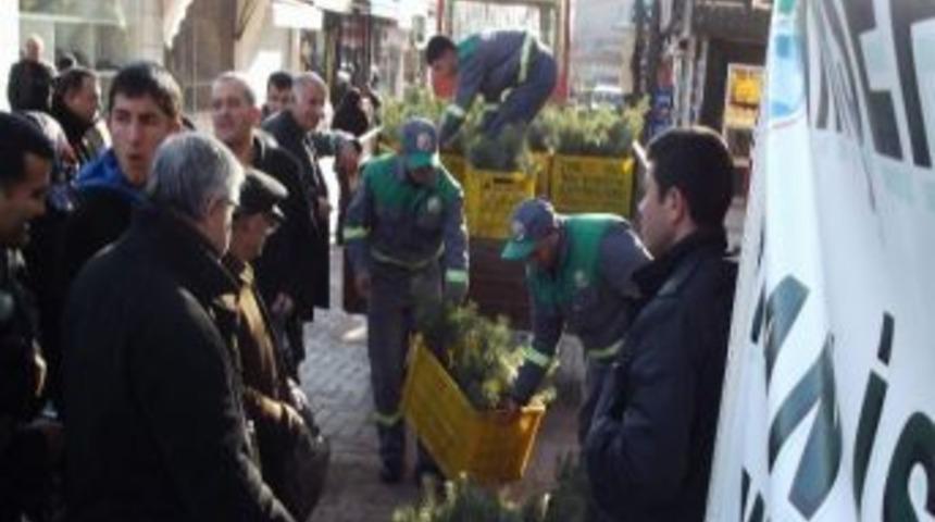 Vatandaşa 10 Bin Adet Fidan Dağıtıldı