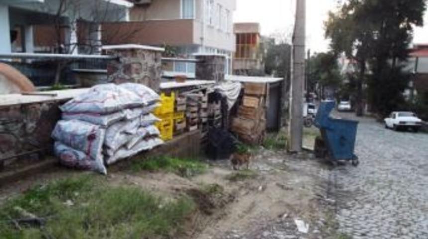 Ayvalık&rsquo;ta Yanmayan K&ouml;m&uuml;rlerin Sokağa Atıldığı İddia Edildi