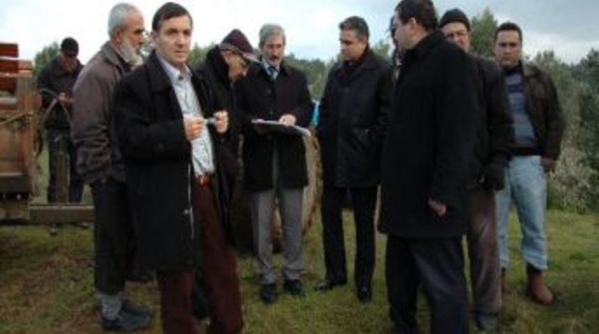 Siyah İncire G&ouml;let Dopingi