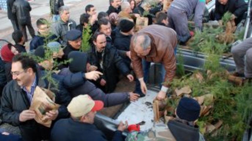 Edirne&rsquo;de Vatandaşlar Yeni Yıla Fidan Dikerek Girecek