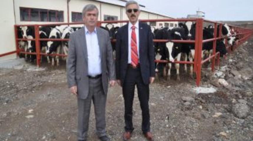 Tarım Kırsal Kalkınma Desteği Ile 34 &Uuml;retici Hayalindeki Tesislere Kavuştu