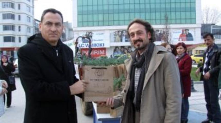 "&ccedil;am Kesme &Ccedil;am Dik" Kampanyası