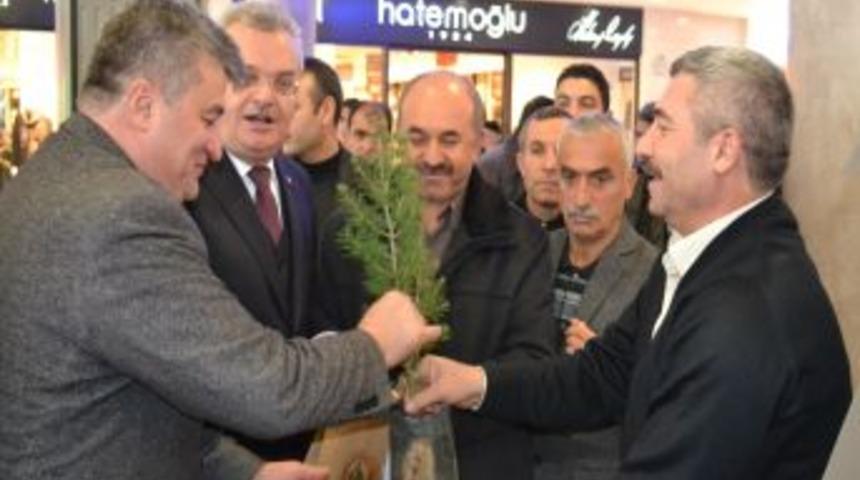 Fidanlık M&uuml;d&uuml;rl&uuml;ğ&uuml;, Dikilmesi I&ccedil;in 6 Bin Fidan Dağıttı