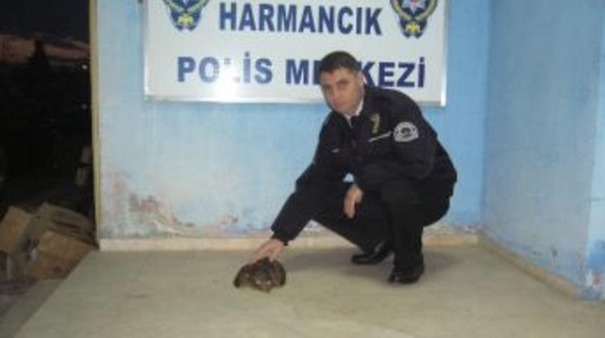 Başkan Vekili Bakıcı&rsquo;dan Yeni Yıl Mesajı