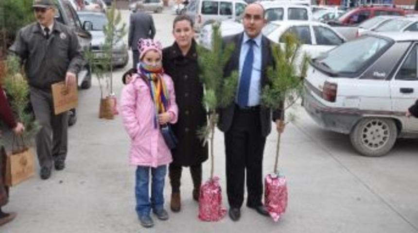 Kastamonu&rsquo;da Yılbaşı &Ouml;ncesi &Uuml;cretsiz Fidan Dağıtıldı