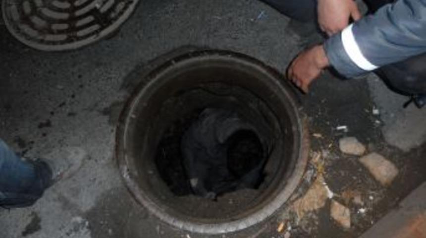 Yeni Yıla &Ccedil;alışarak Girdiler