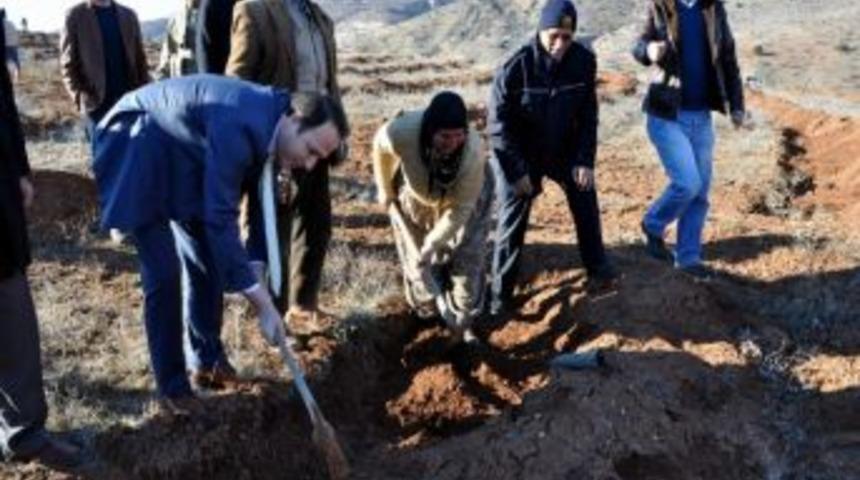 Suşehri&rsquo;nde &ldquo;badem Ormanı&rdquo; Projesi