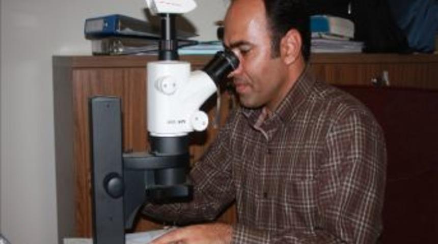 Bitlis-iran İşbirliği