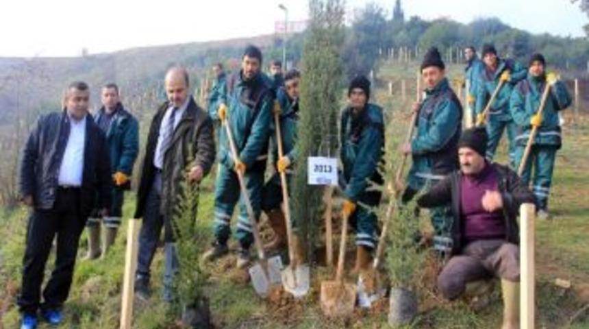 Yeni Yılın İlk Ağacı Dikildi