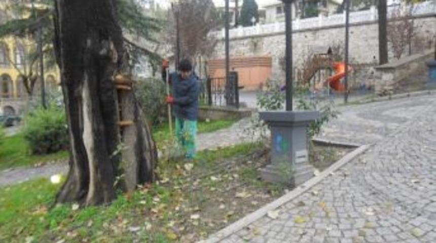 K&uuml;lt&uuml;r Tepesi &Ccedil;i&ccedil;ek A&ccedil;tı