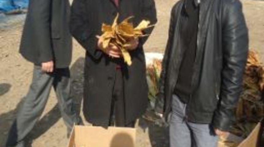 Muş&rsquo;ta T&uuml;t&uuml;n Alımları Devam Ediyor