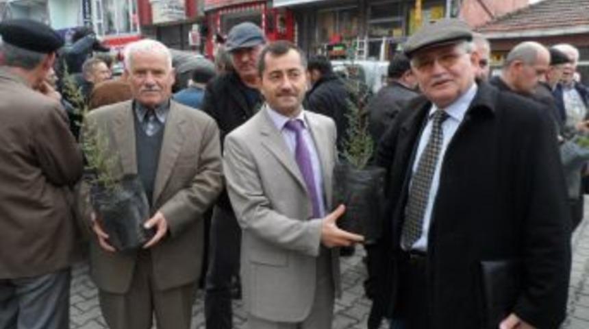Alaplı'da  Fidan Dağıtımı yapıldı