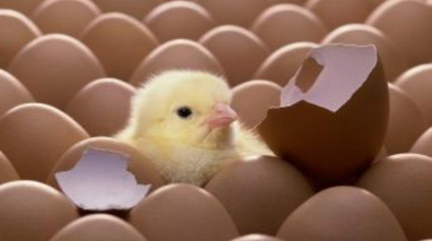 Başbakan Erdoğan, Twitter'da Zirvede