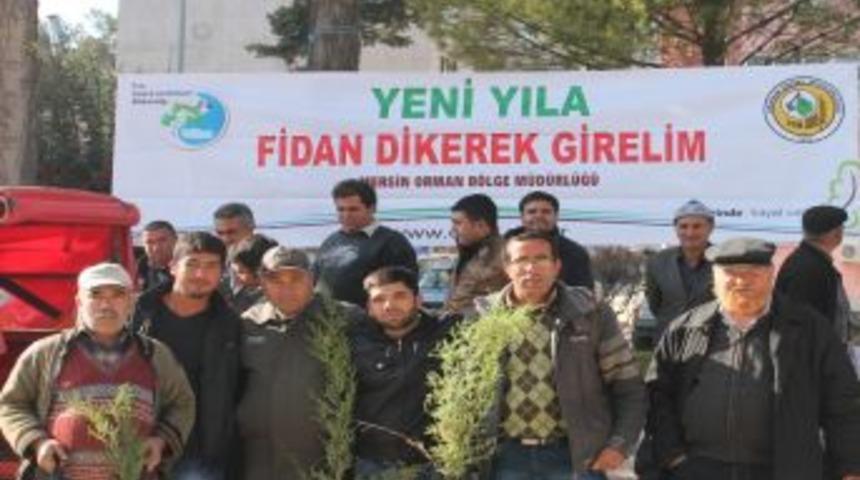 G&uuml;lnar'da Halka Bin Adet Fidan Dağıtıldı