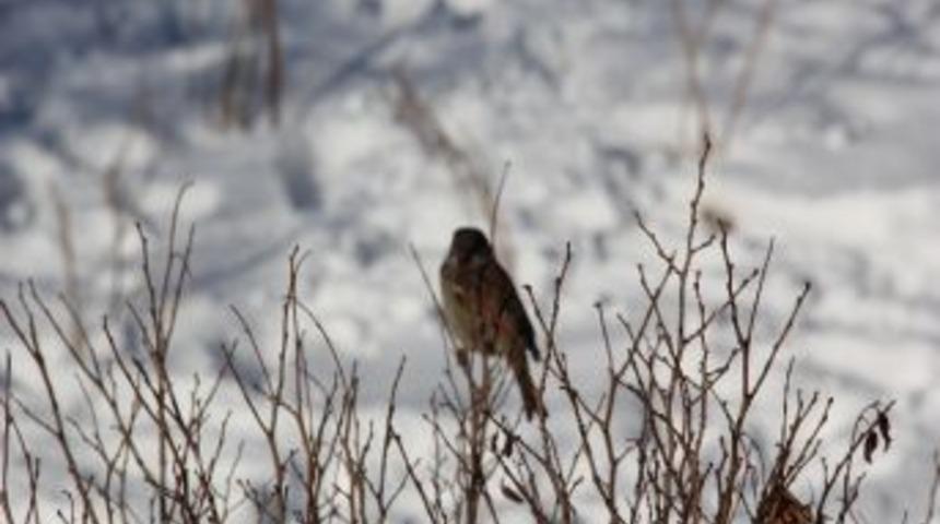 Doğu&rsquo;da Soğuk Hava