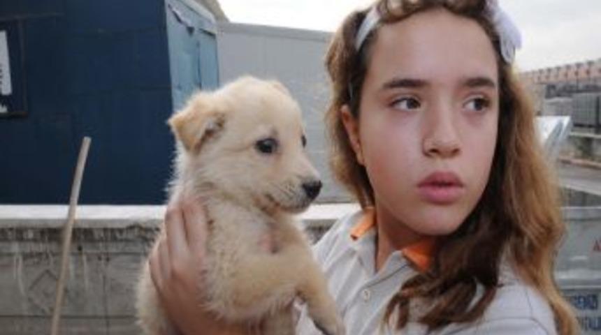 Yenimahalle'de Can Dostlarına Sıcak Yuva