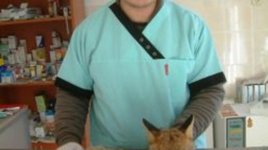 Burhaniye&rsquo;de H&uuml;seyin Sazak Yılın Veterineri Se&ccedil;ildi