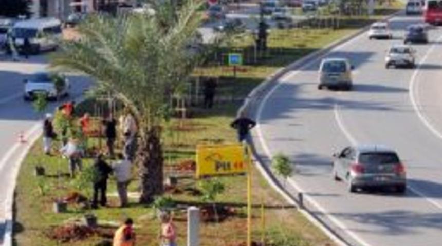 B&uuml;y&uuml;kşehir Caddeleri Narenciye Bah&ccedil;esine D&ouml;n&uuml;şt&uuml;r&uuml;yor