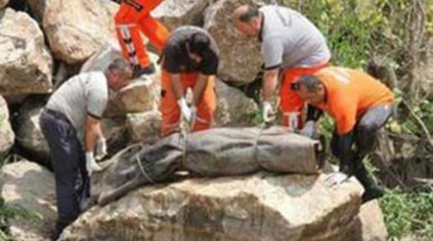 D&ouml;verek &ouml;ld&uuml;rd&uuml;ler, pis su kanalına attılar!