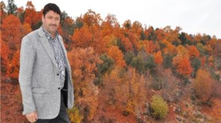 Doğadan Renk C&uuml;mb&uuml;ş&uuml;