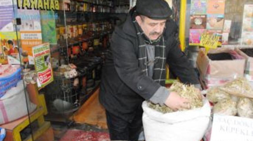 Doğal Antibiyotik &lsquo;Ihlamur&rsquo;