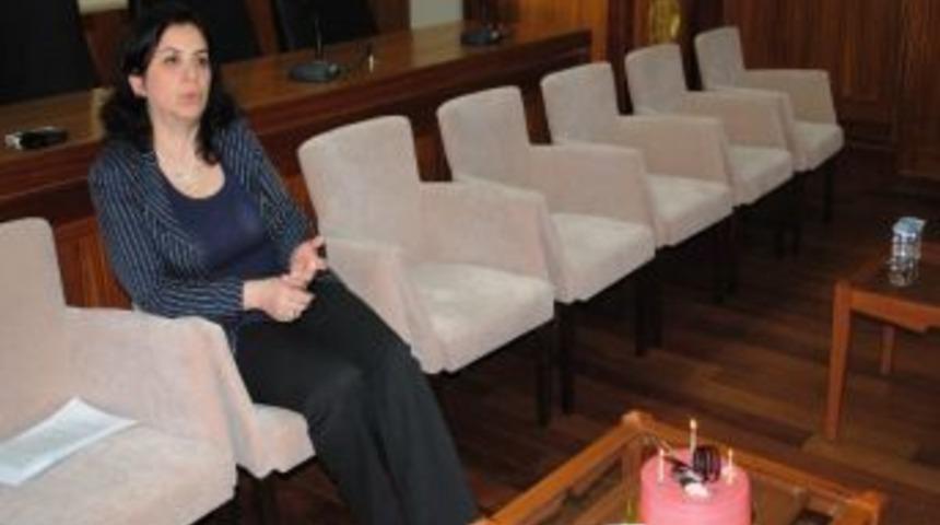 &Ccedil;tso&rsquo;dan &lsquo;survivor &Ccedil;anakkale&rsquo; Projesi