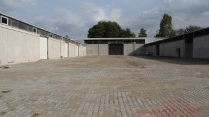 Belediye Garajını Sokak K&ouml;pekleri Koruyacak