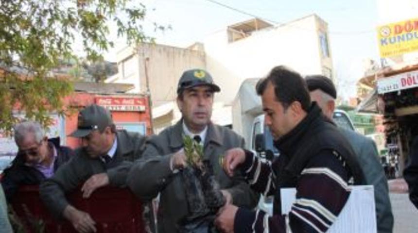 Silifke'de Vatandaşlara 500 Fidan Dağıtıldı