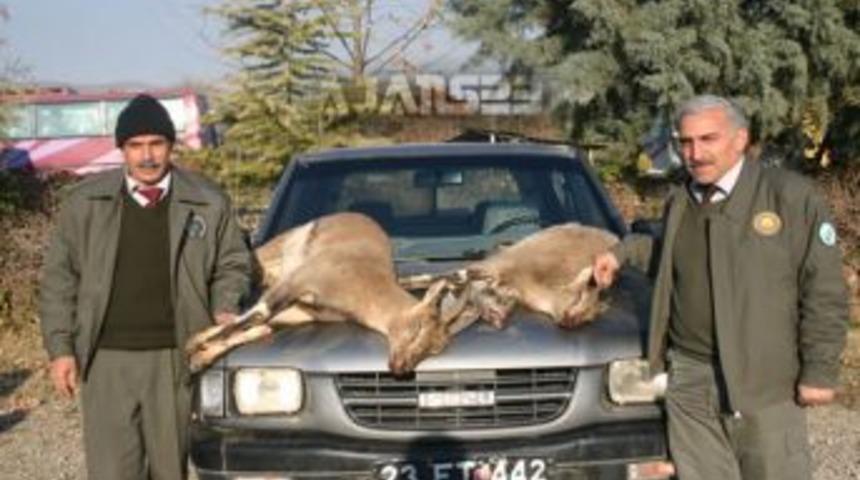 Ka&ccedil;ak avcılara b&uuml;y&uuml;k ceza
